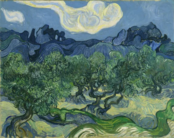 Olive Trees in a Mountainous Landscape